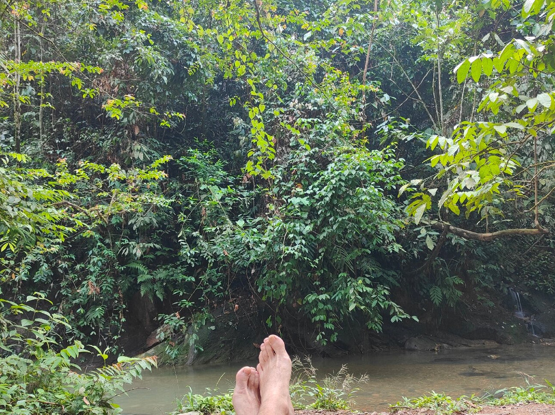 Sumatra Orangutan Tour & Trek-武吉拉旺必去景点