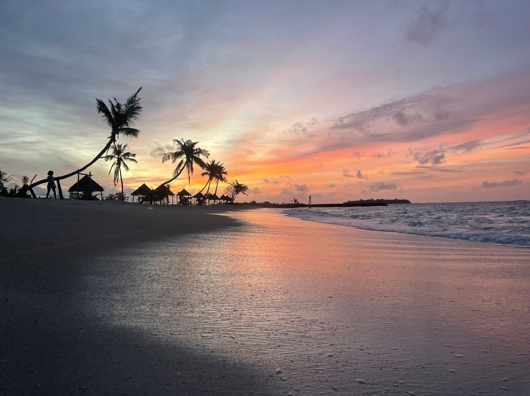 Seginy Seaview主图