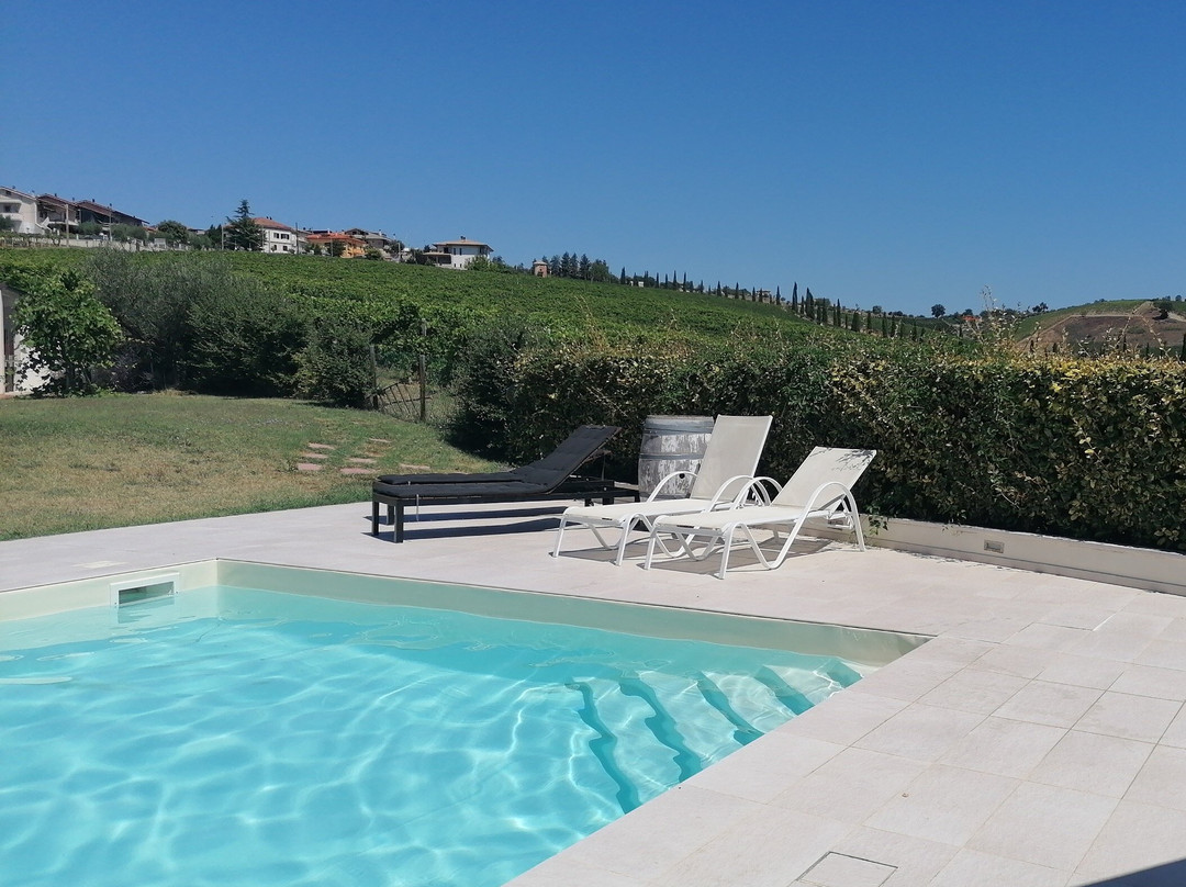 Contado San Lorenzo B&B and Wine主图