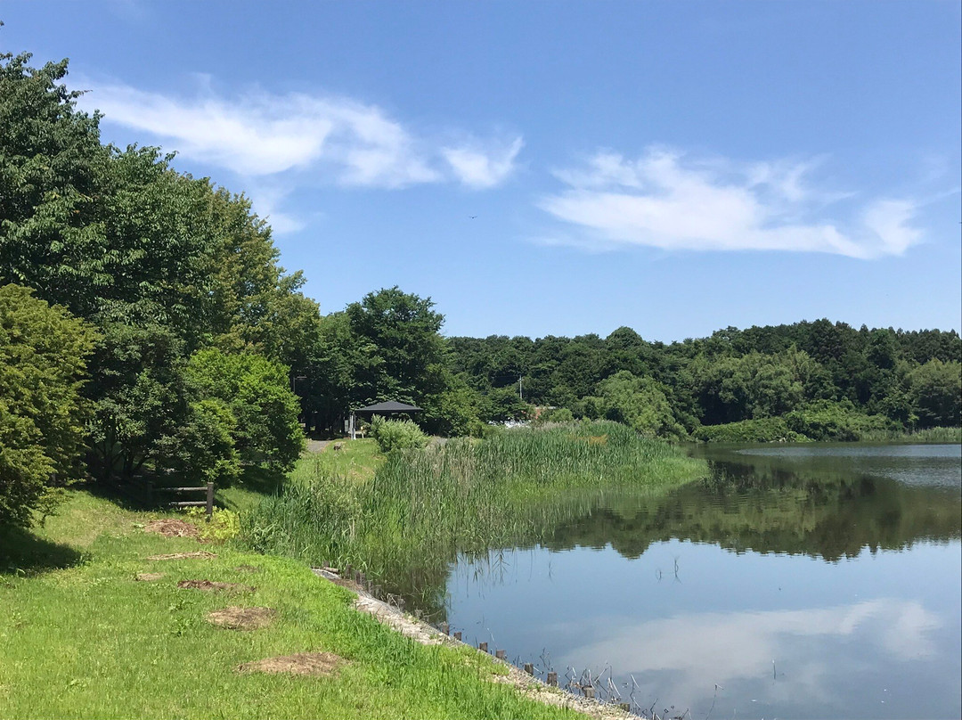 Handa Swamp-太田原市必去景点
