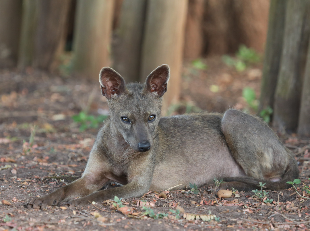 Caiman Ecological Refuge-米兰达必去景点
