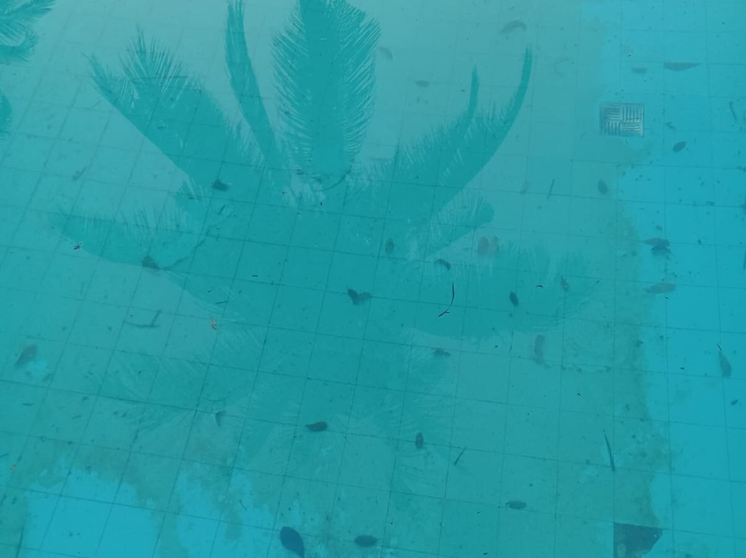 Quari Quara BY MN Hoteis主图