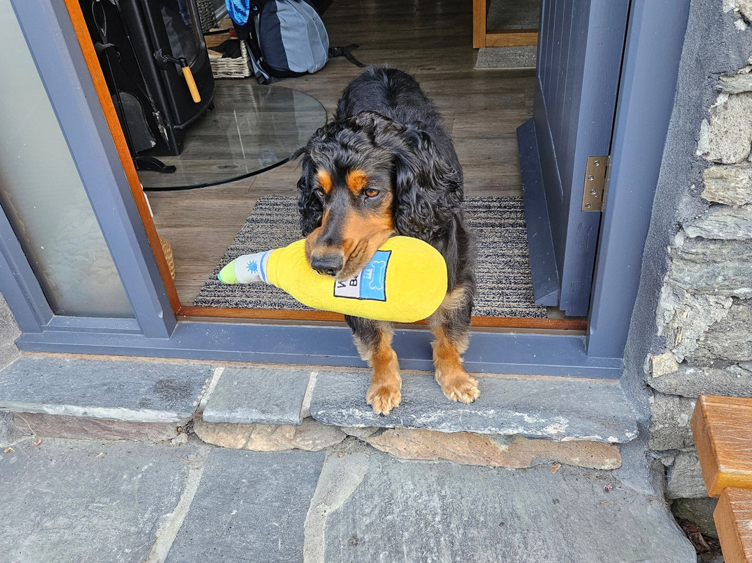 The Yan At Broadrayne主图