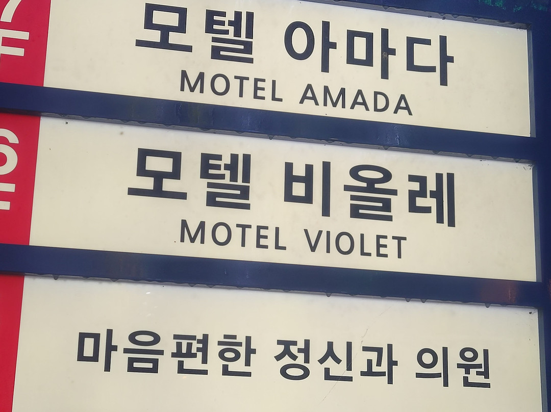Hotel Violet主图