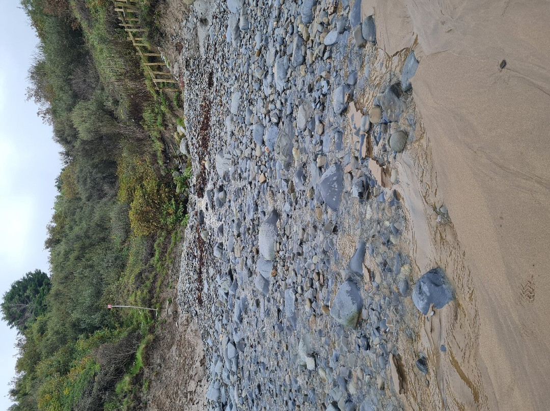 Traeth Gwyn Beach-纽基必去景点