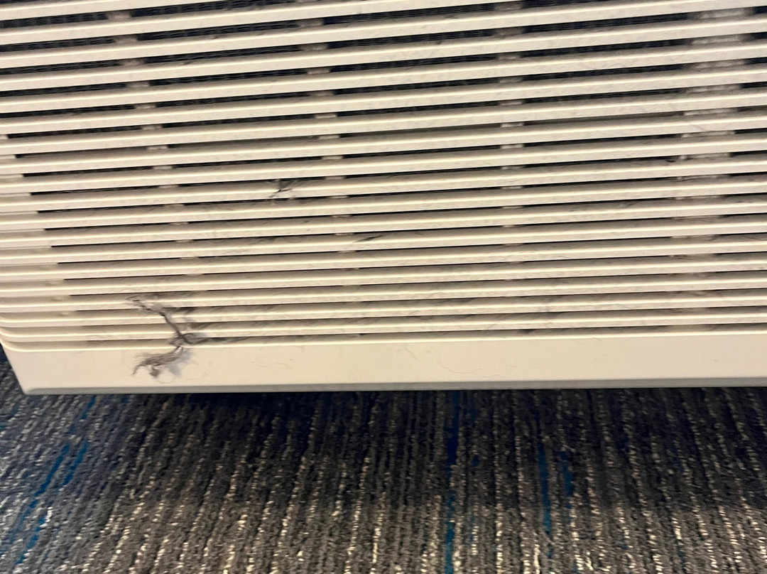 Hampton Inn By Hilton Greer Greenville主图