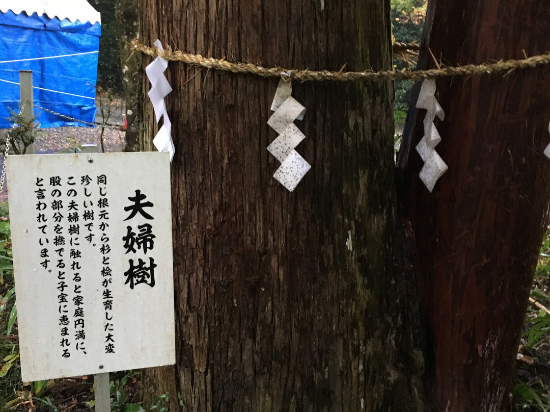 Oyada Shrine-美浓市必去景点