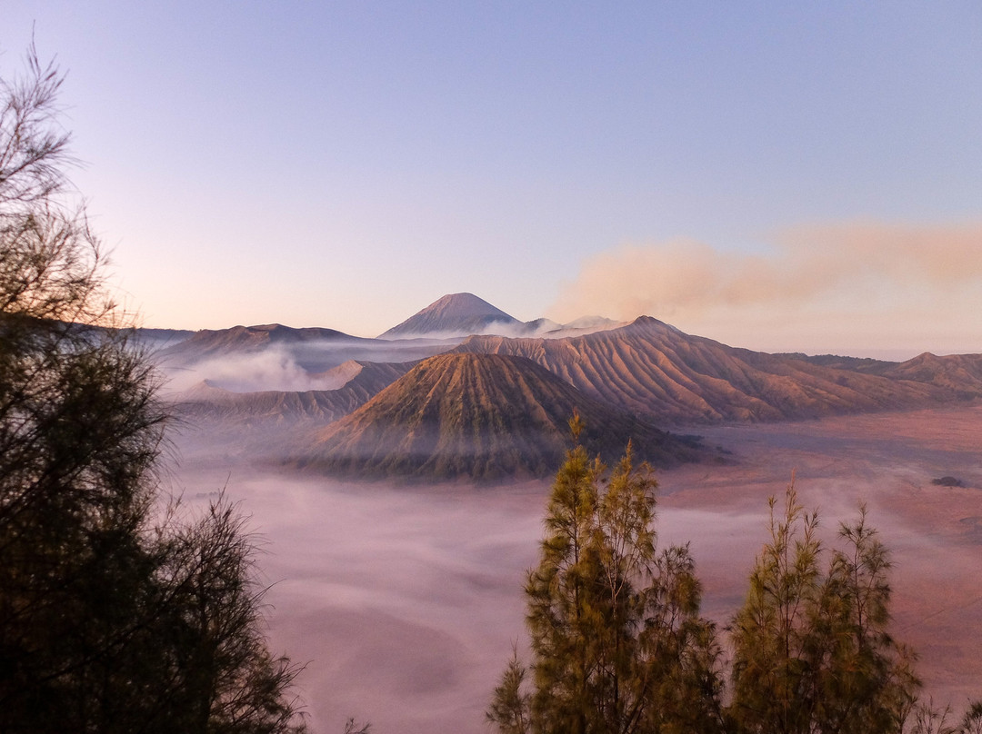 Jogja Indo Tours景点图片