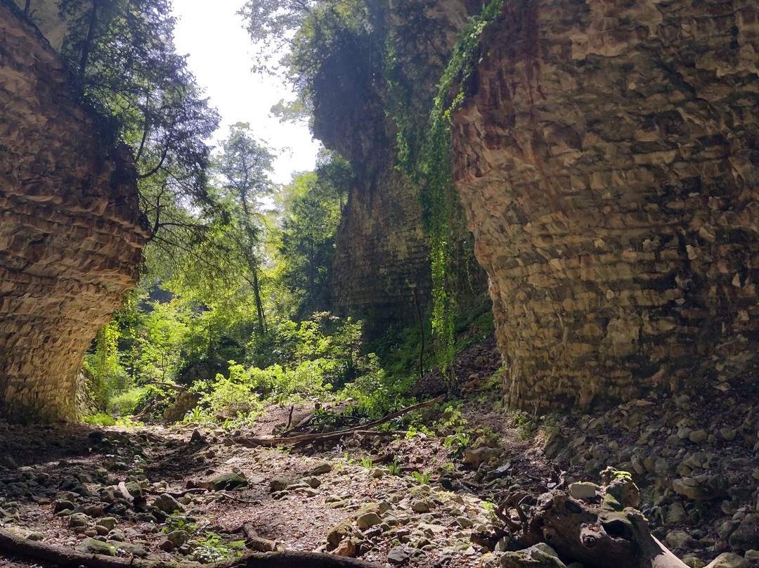 Oasi Vajo Galina景点图片