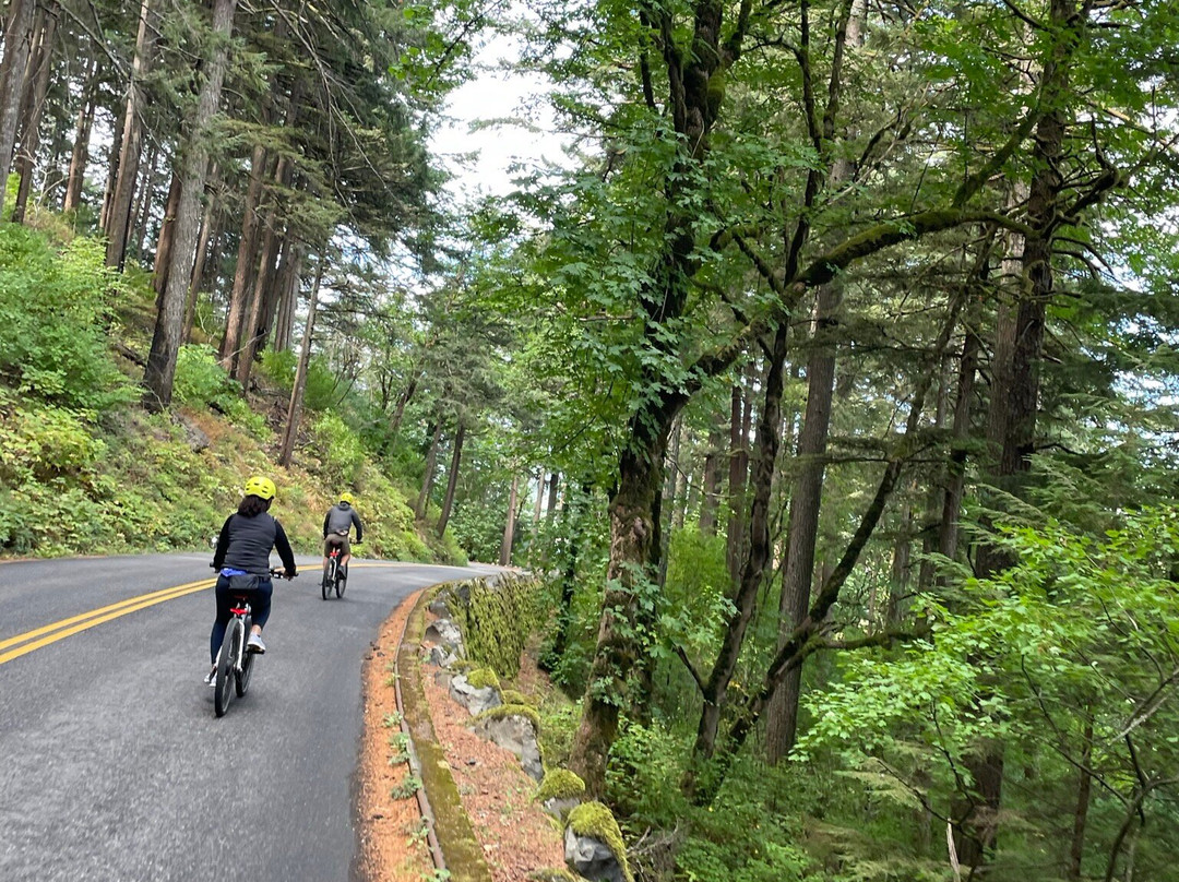 Hood River Mountain Bike Adventures-胡德里弗必去景点