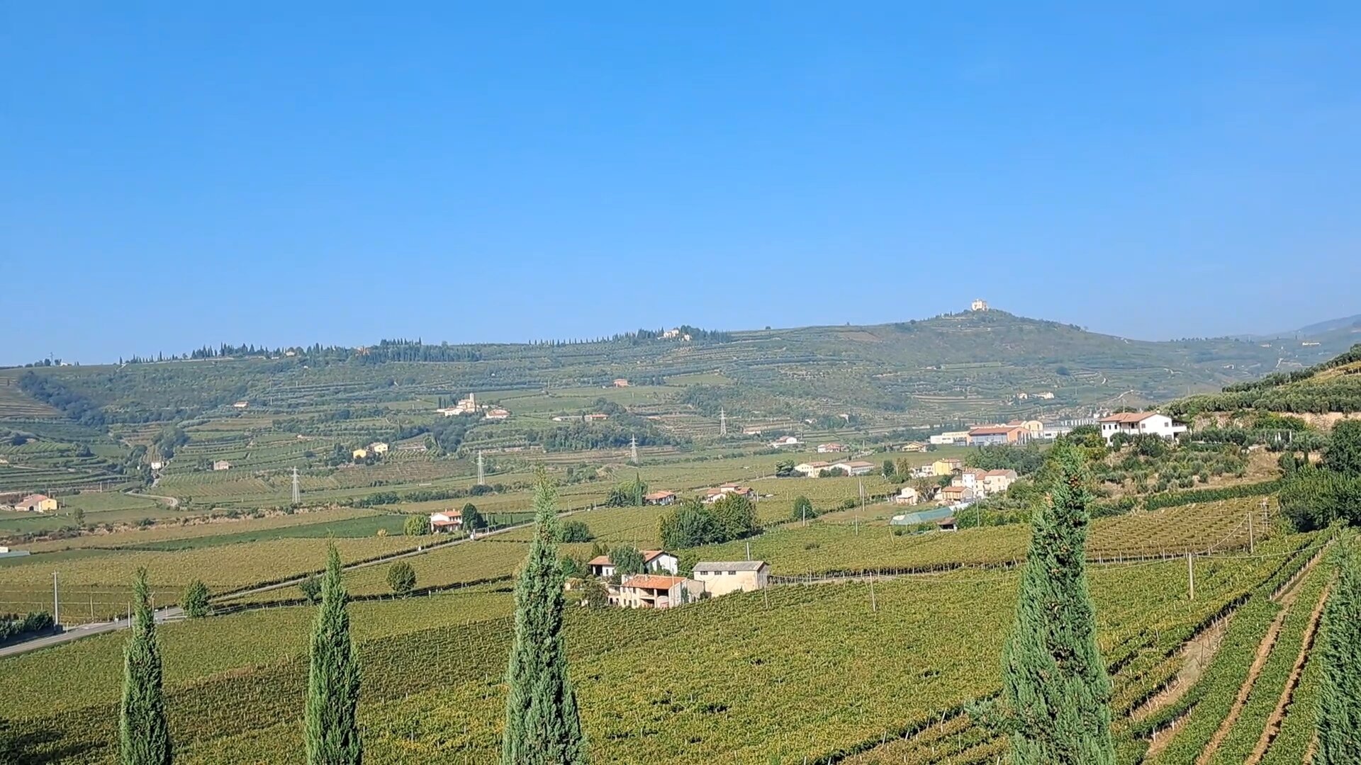 Corte Tamellini-官方