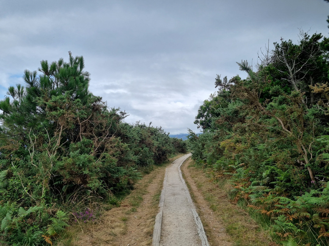 Mirador del Cabo de Busto-Busto必去景点