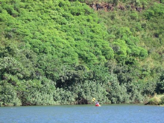 Kayak Wailua-卡帕阿必去景点