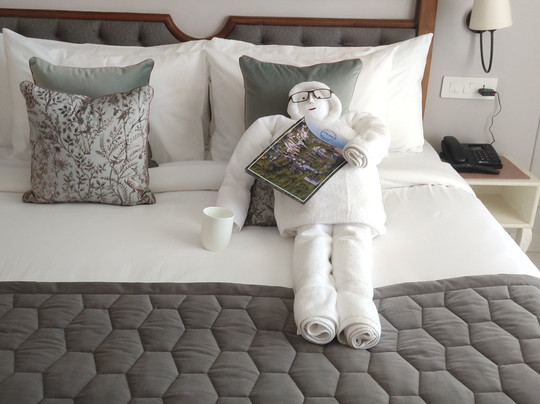 Centarosa Resort主图