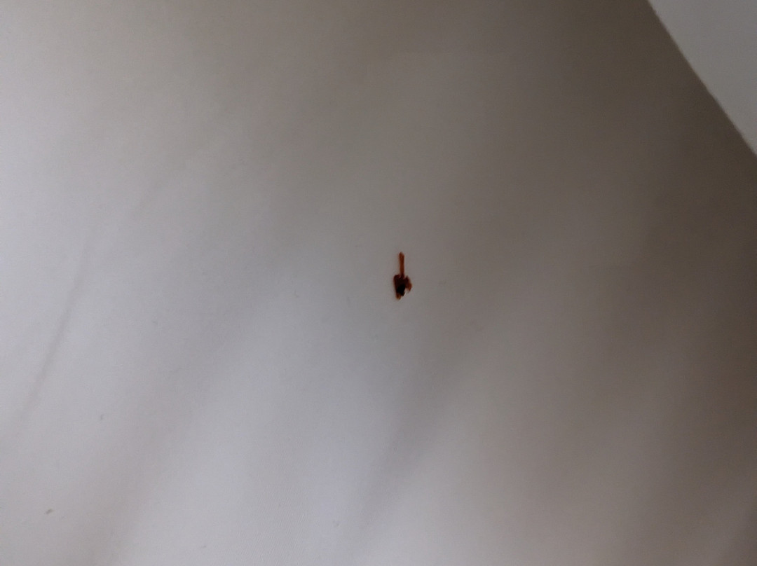 Country Inn & Suites by Radisson, Mishawaka, IN主图