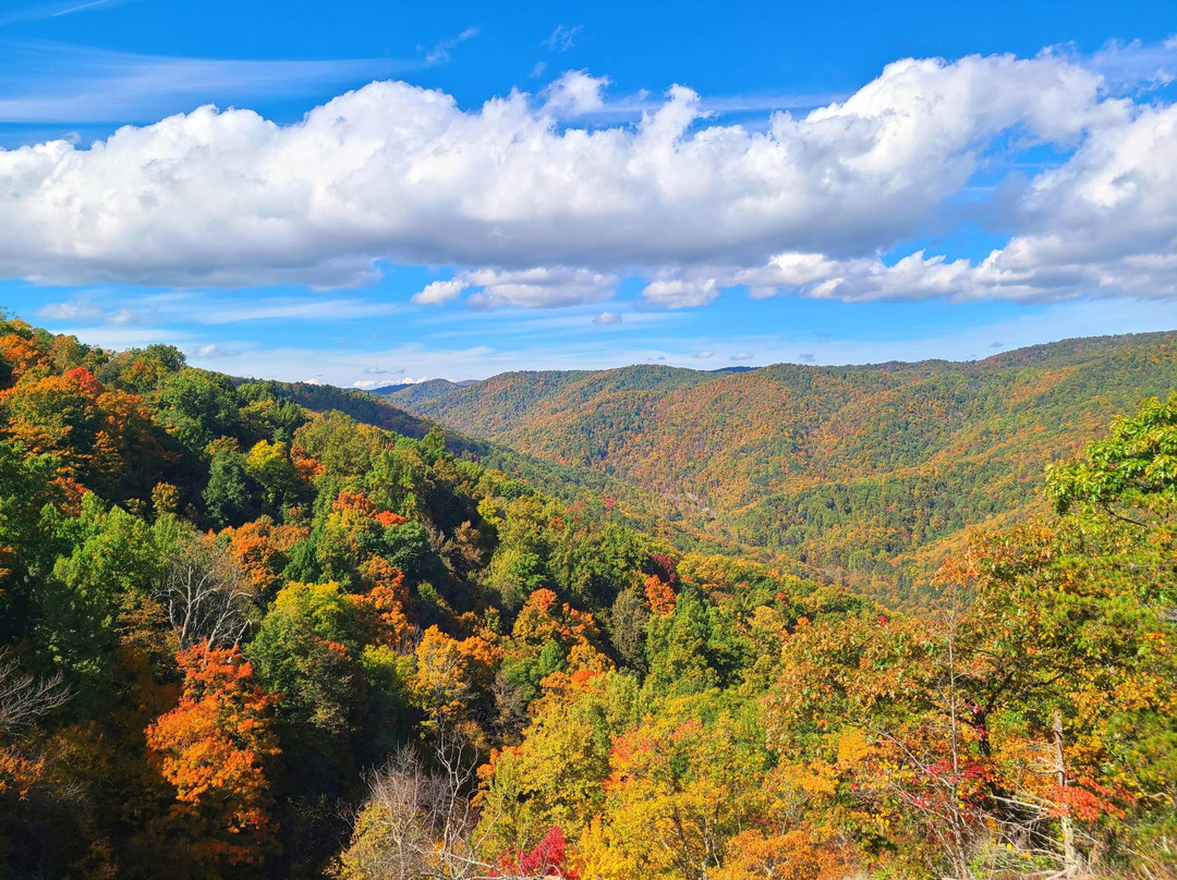 Crabtree Falls-Wintergreen必去景点