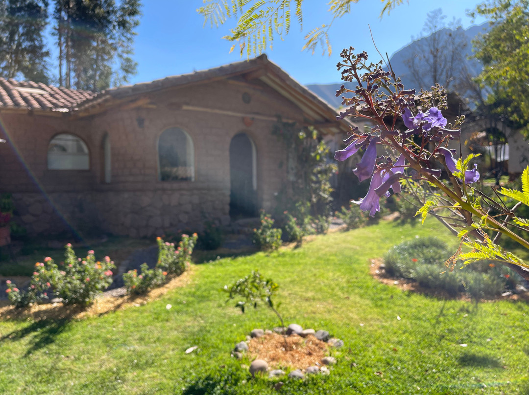 Pacha Munay Wellness主图