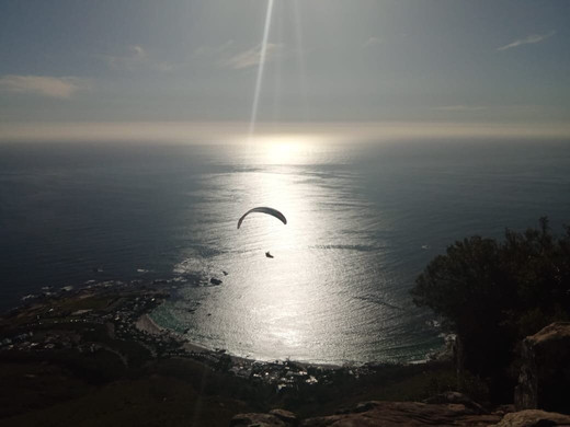 Hike Cape Town Like a local-开普敦中心区必去景点