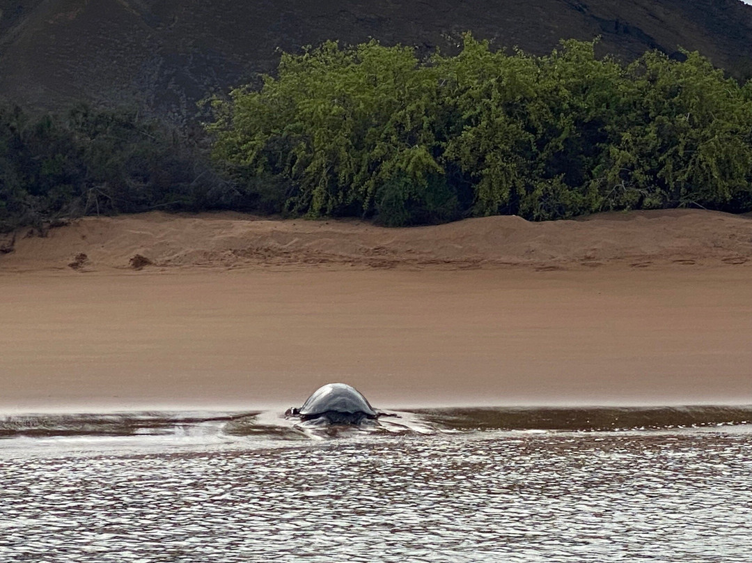 GALAPAGOS ECUADOORS-圣克鲁斯必去景点