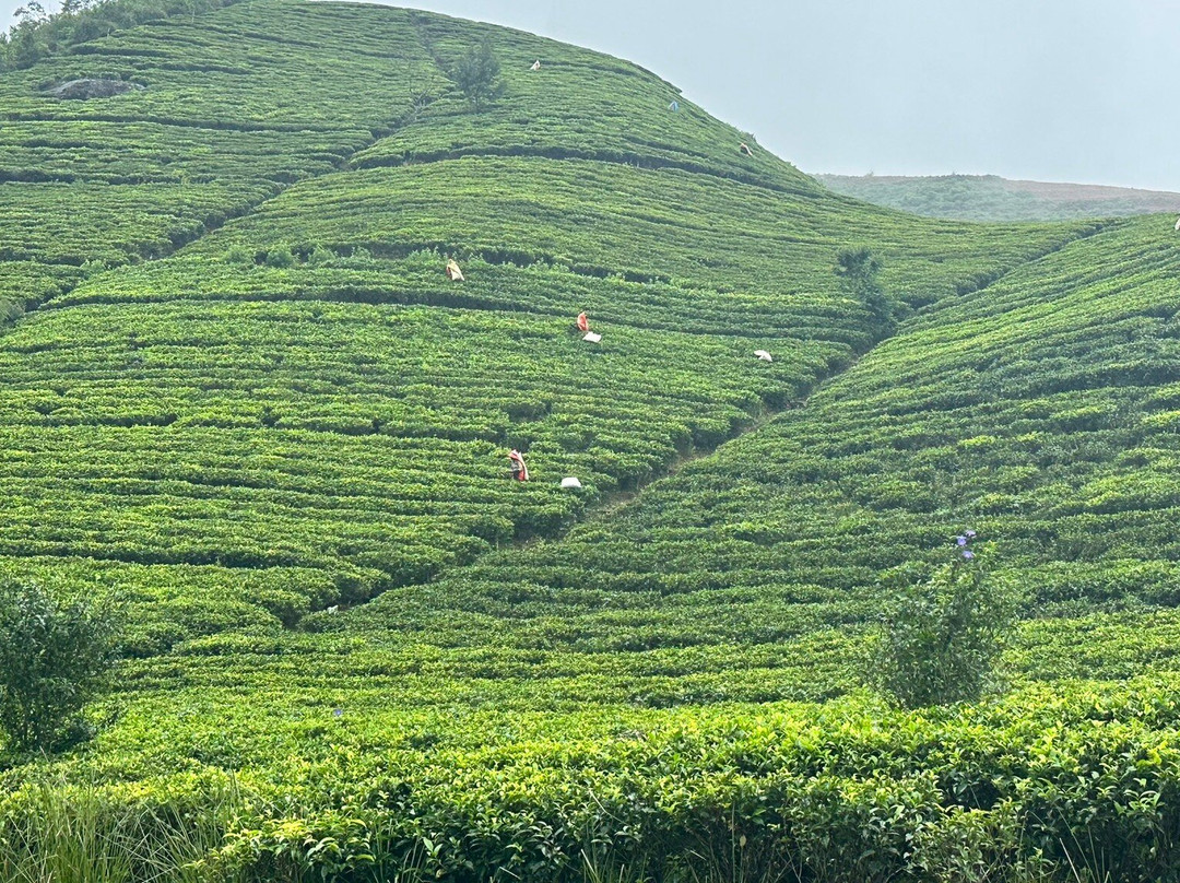 Travel Choice-希克杜沃必去景点