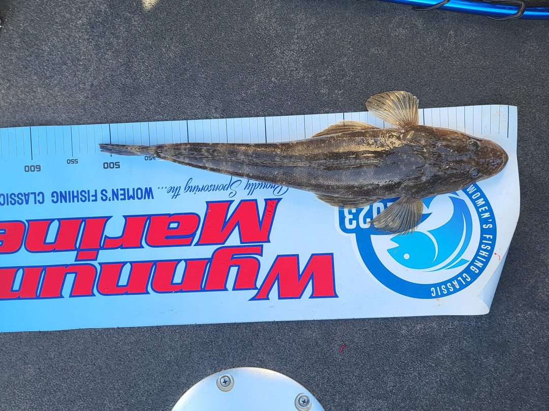 Capn’s Charters-黄金海岸必去景点