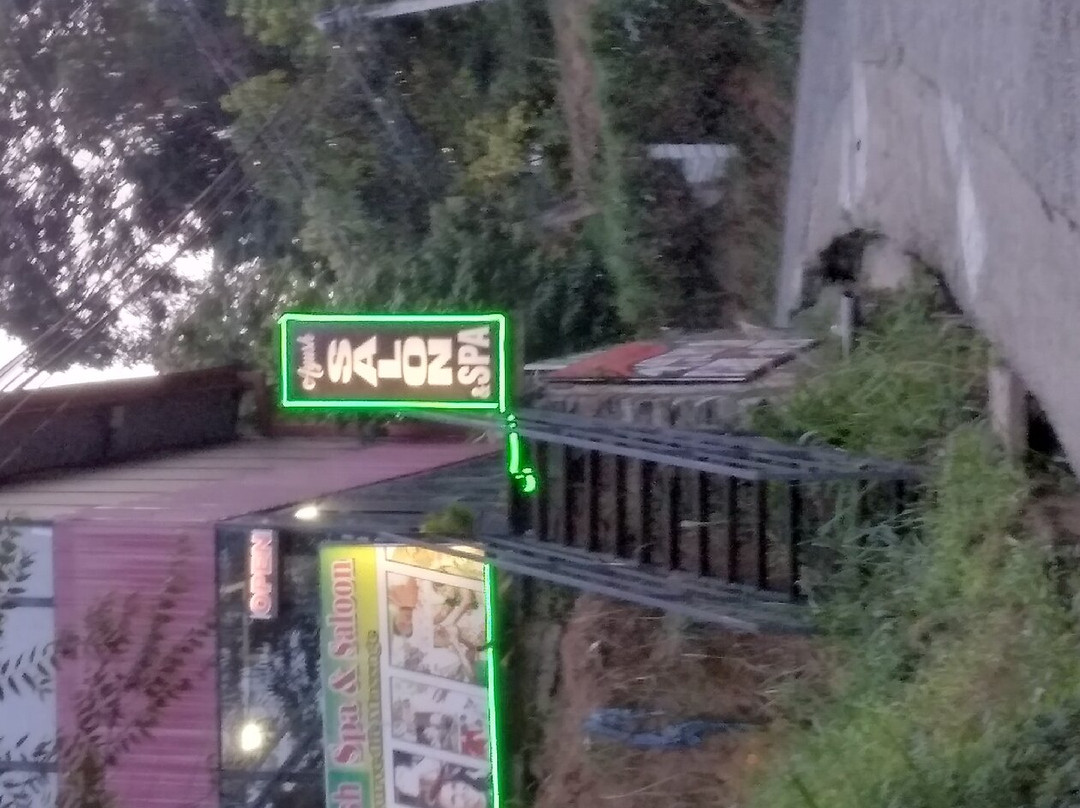 Ayush Spa & Salon-埃勒必去景点