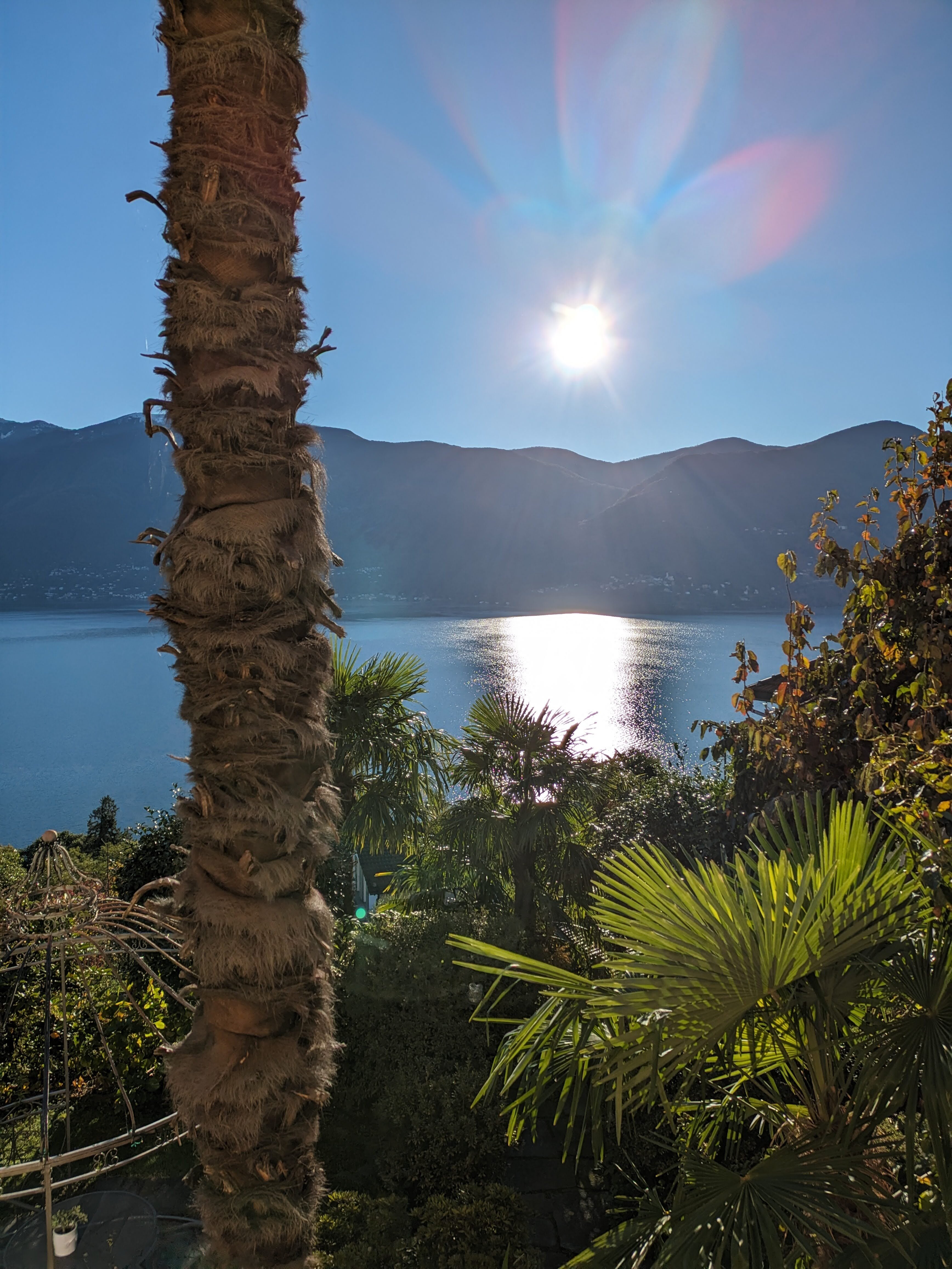 Casa Concerto-酒店景观