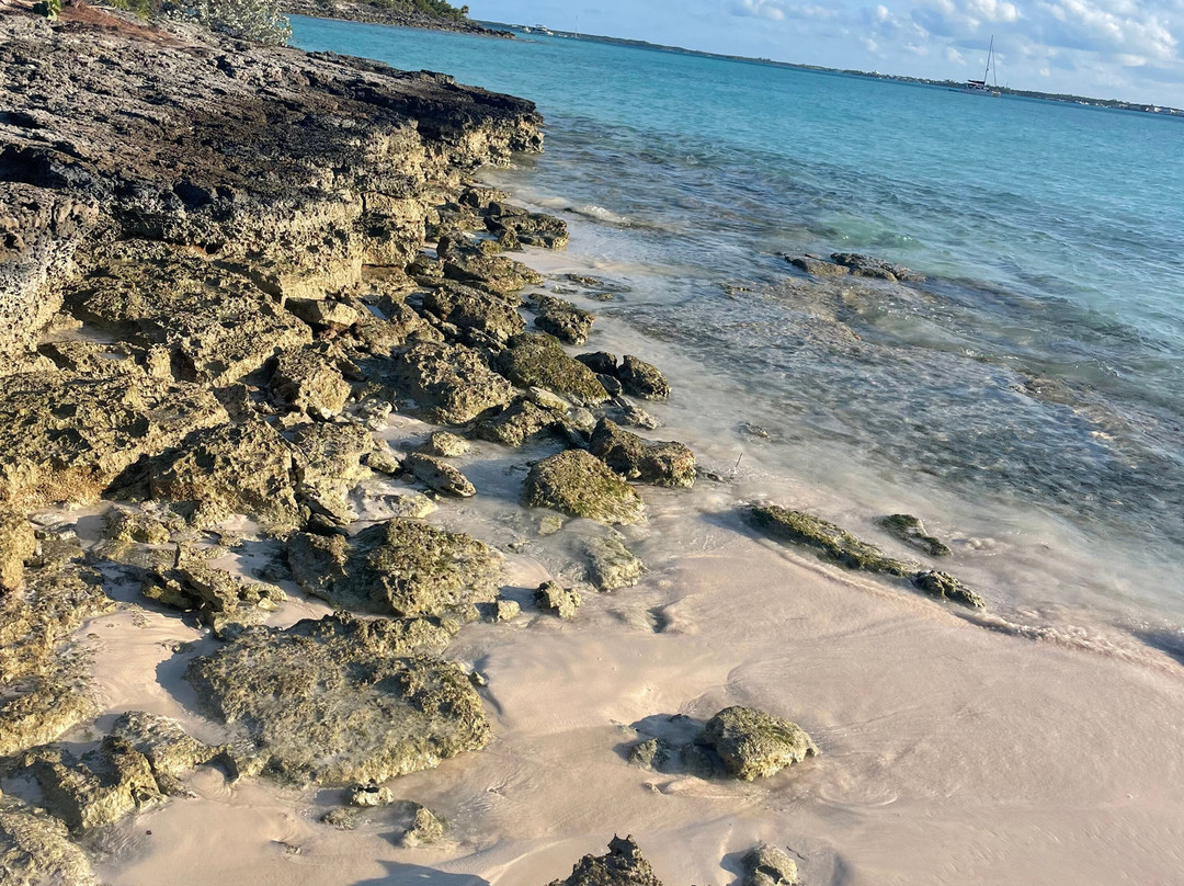 Turtle Divers-George Town必去景点