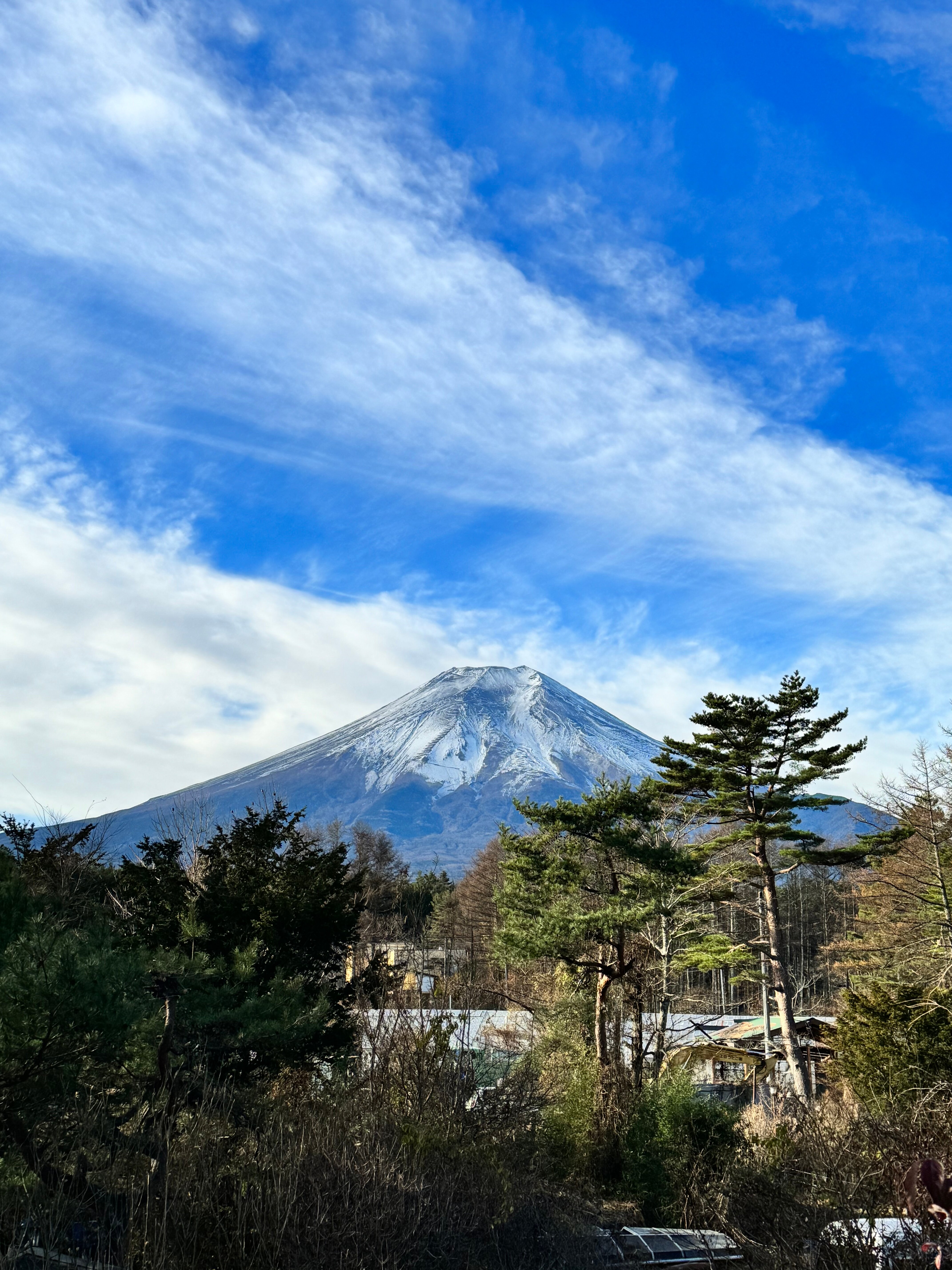 福奇托米塔日式旅馆-官方