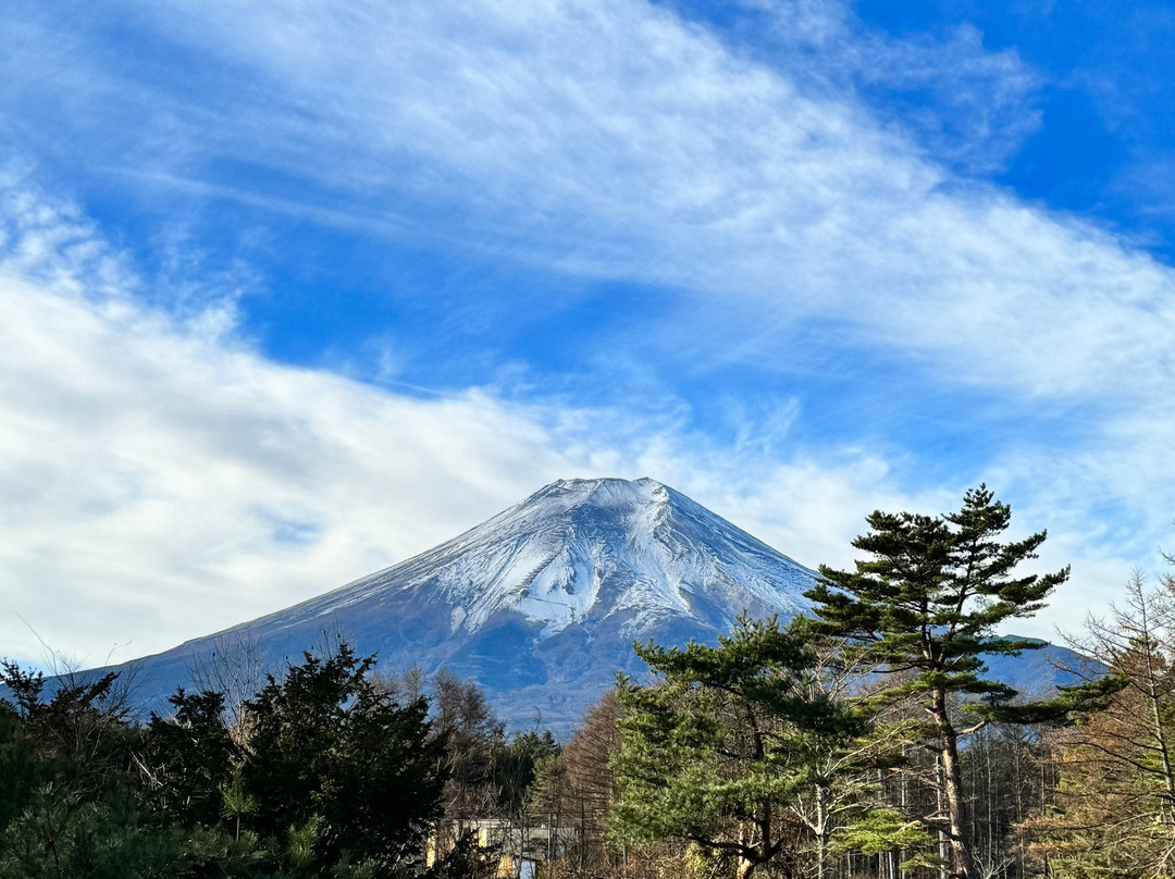 福奇托米塔日式旅馆主图