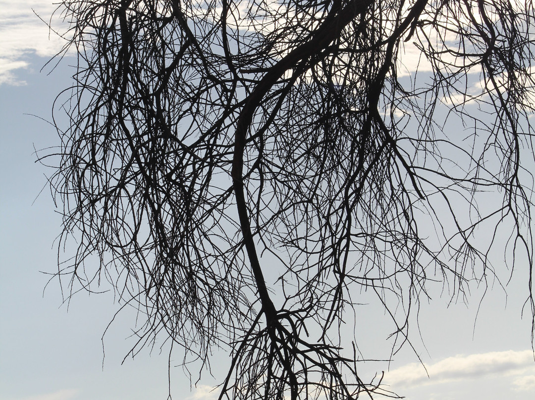 Buffalo Springs National Reserve-Buffalo Springs Game Reserve必去景点