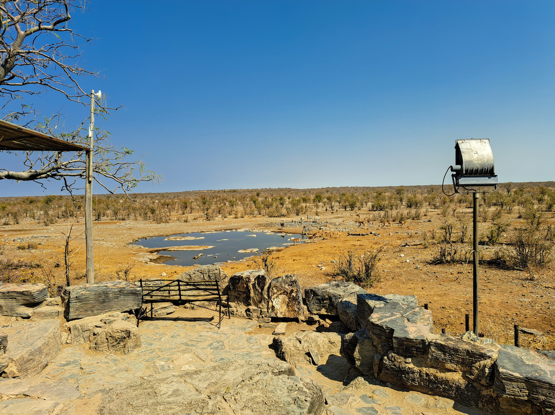Moringa Waterhole-Halali必去景点