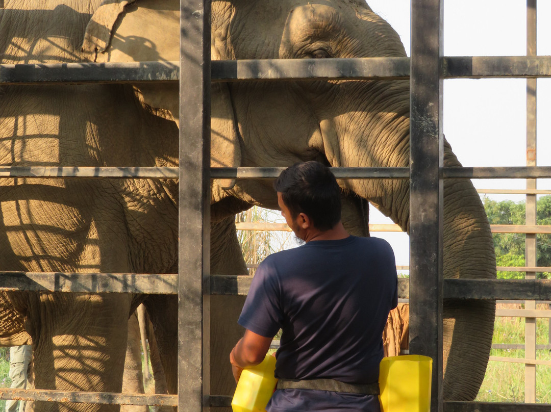 The SU4E Home-苏拉哈必去景点