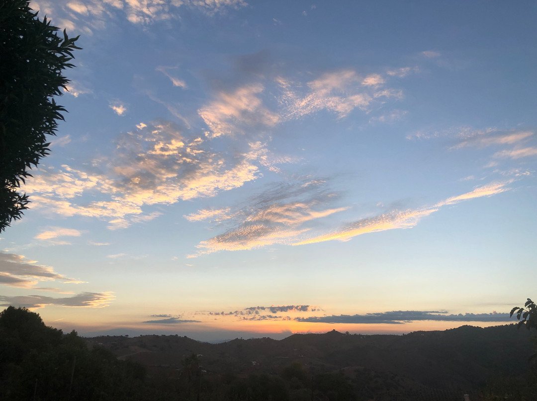 Finca Martina