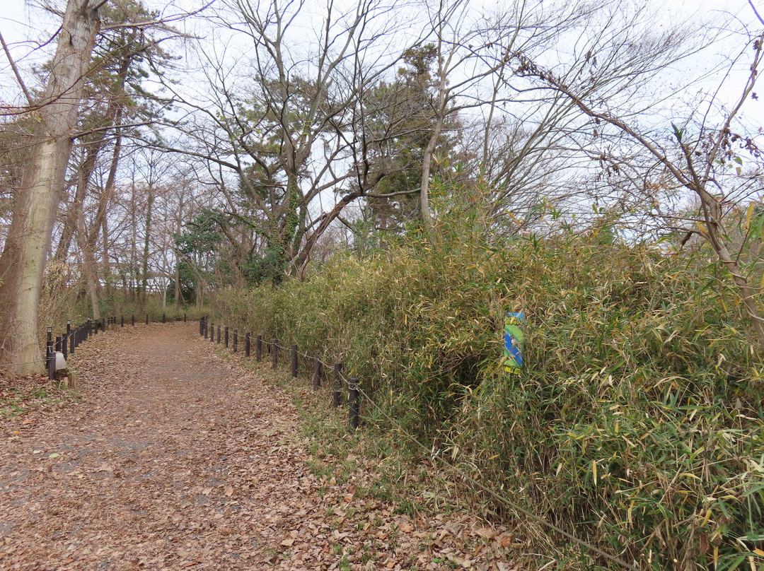 Kombukuro Pond Natural History Park景点图片