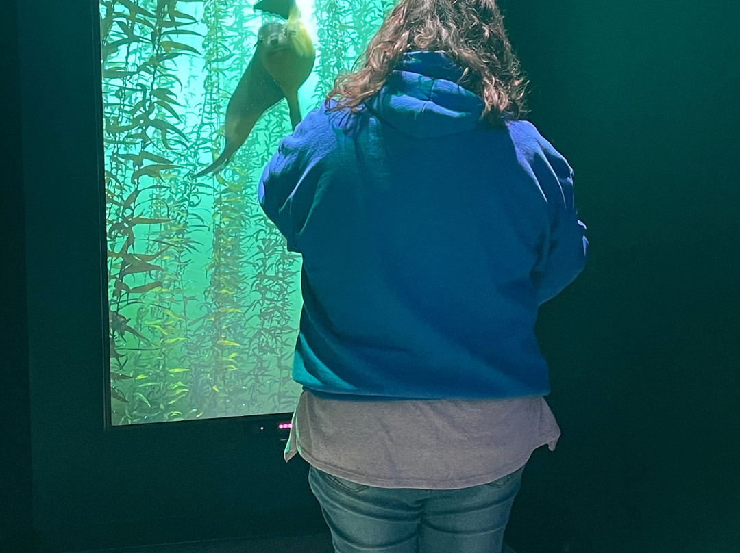 XPERIA: Smoky Mountains-塞维尔维尔必去景点