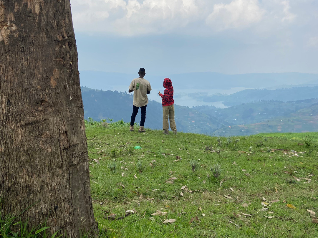 Gorilla Highlands-卡巴莱必去景点