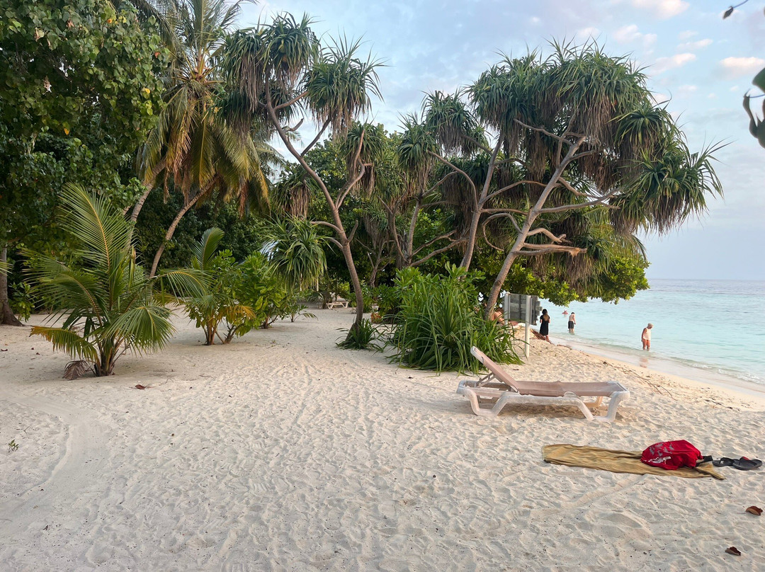 Summer Vibes Beach Front主图