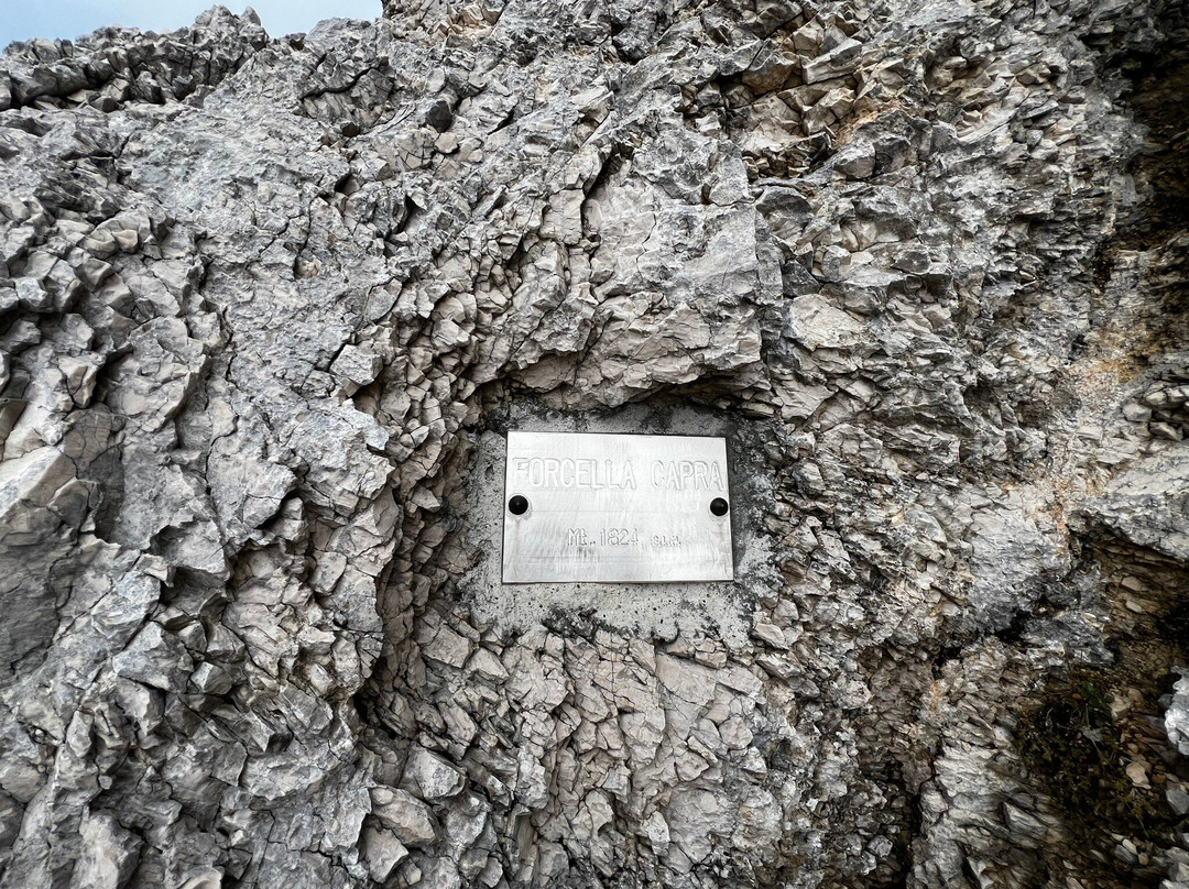 Monte Raut景点图片