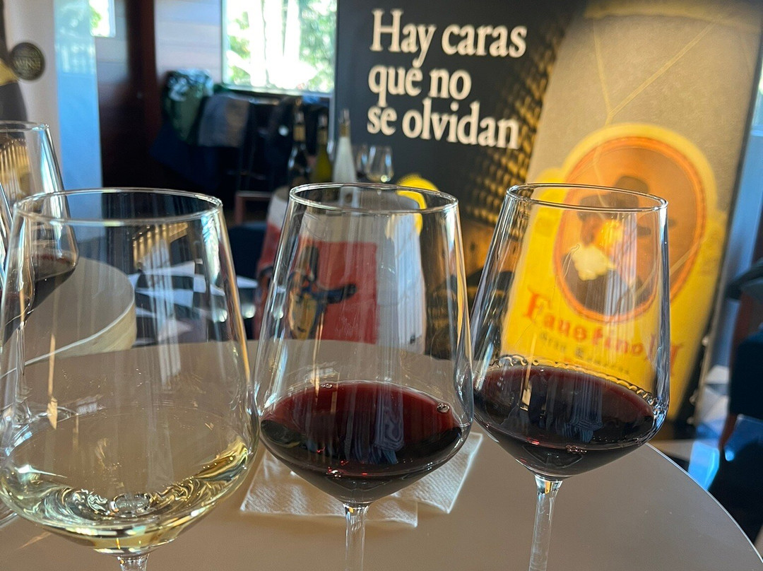 Bodegas Faustino景点图片