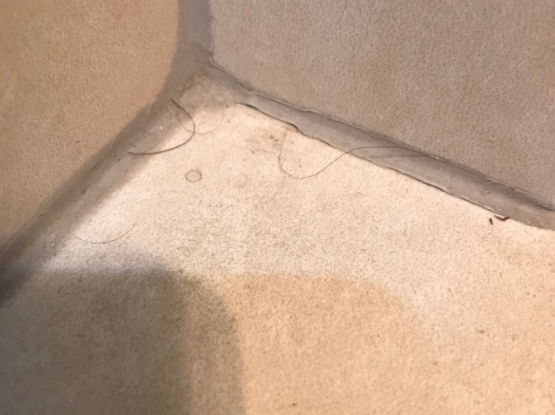 Ambassador on Ruthven Motel主图