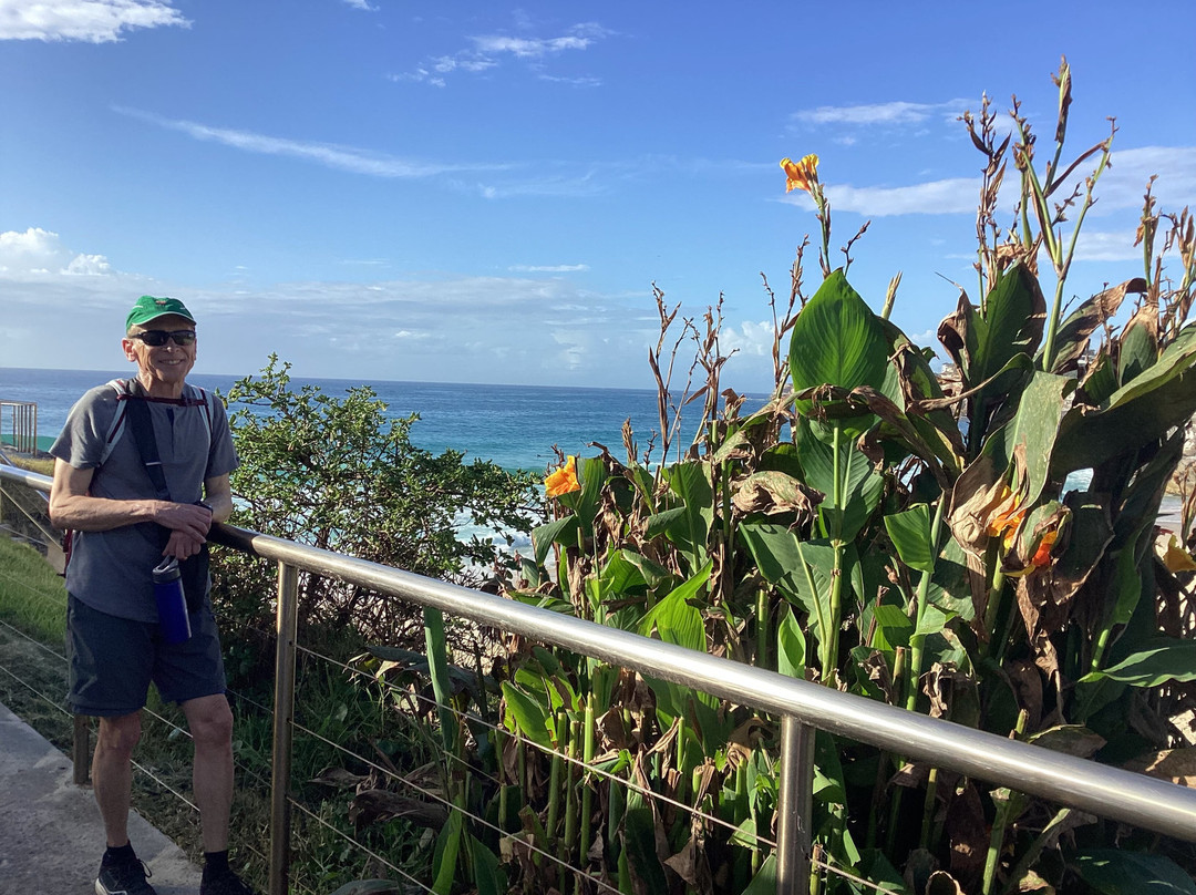 Coogee to Bondi Walking Tours景点图片