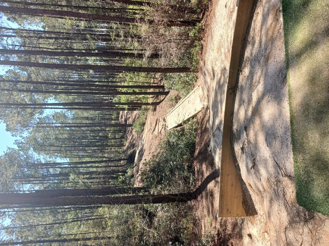 Boyd Pond Park-艾肯必去景点