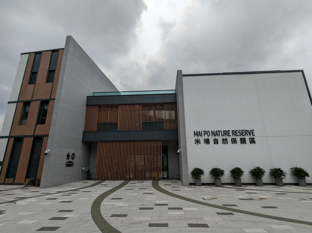 米埔自然保护区-香港必去景点