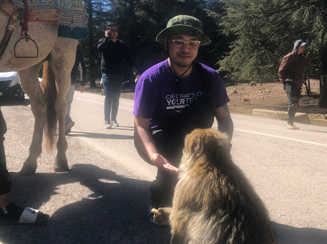 Iconic Morocco Tours-非斯必去景点