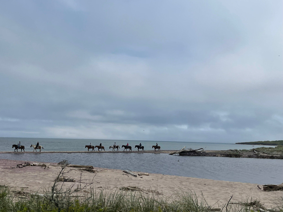 Deep Hollow Ranch-蒙托克必去景点