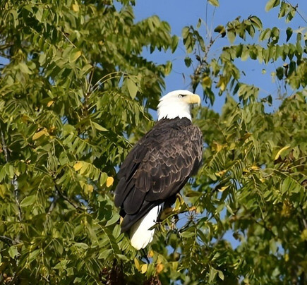 Rockin Thunder River Tours-麦迪逊必去景点