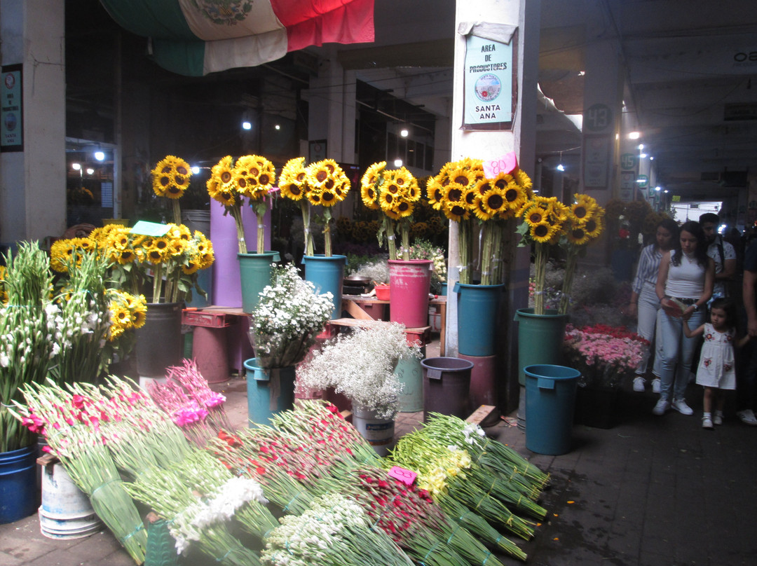 Mercado de Jamaica-墨西哥城必去景点