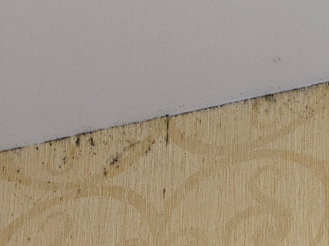 Hampton Inn & Suites Lino Lakes主图