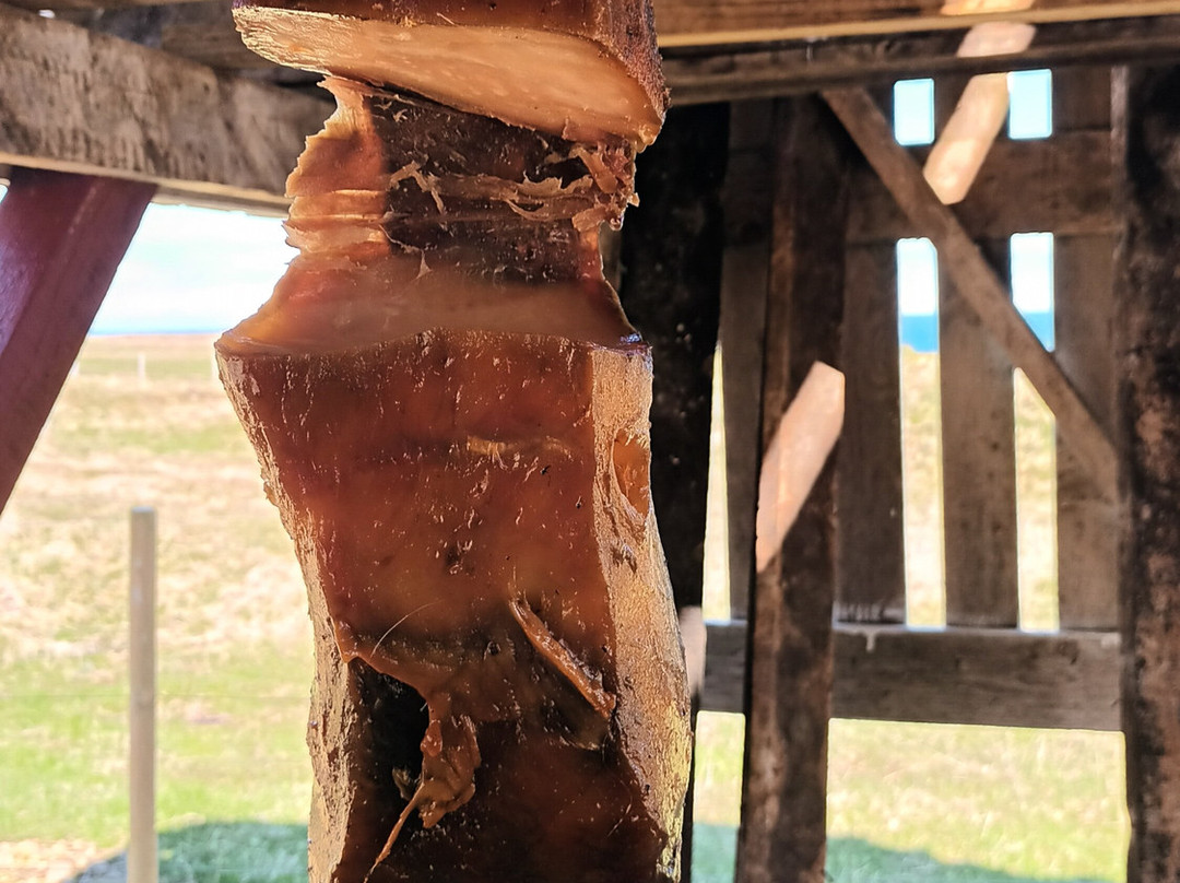 Bjarnarhofn Shark Museum-Bjarnarhofn必去景点